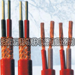 核級電纜
