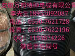 安徽萬(wàn)邦特種電纜有限公司