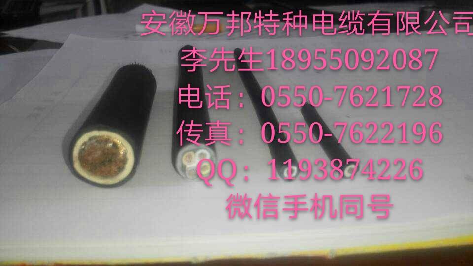 安徽萬(wàn)邦特種電纜有限公司
