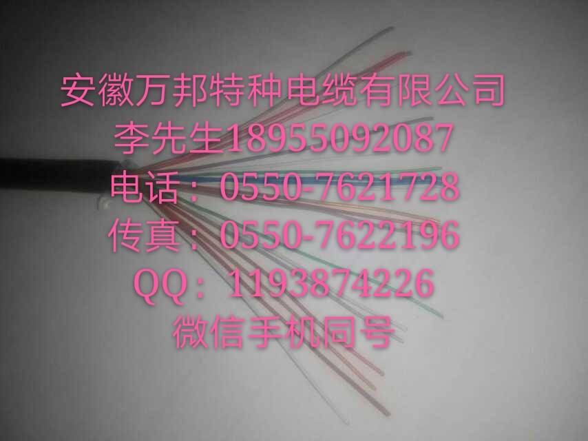 安徽萬(wàn)邦，RS485專用電纜RS485-2*2*0.25