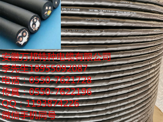 ZB-DJVP2VP2/22運(yùn)城計(jì)算機(jī)電纜用 詳細(xì)信息
