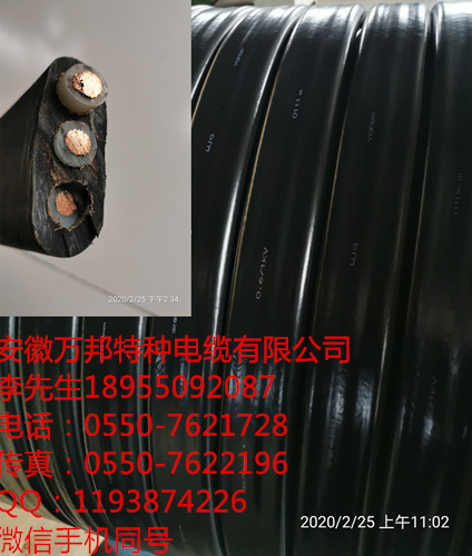 安徽萬(wàn)邦特種電纜有限公司，YFFBJ 3*10+6*2.5